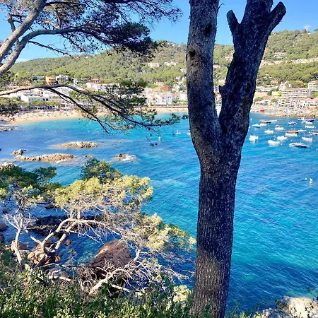 Apartamento 1kim01 - *