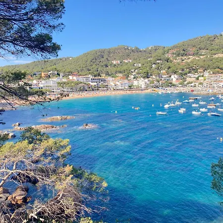 Apartamento 1kim01 -