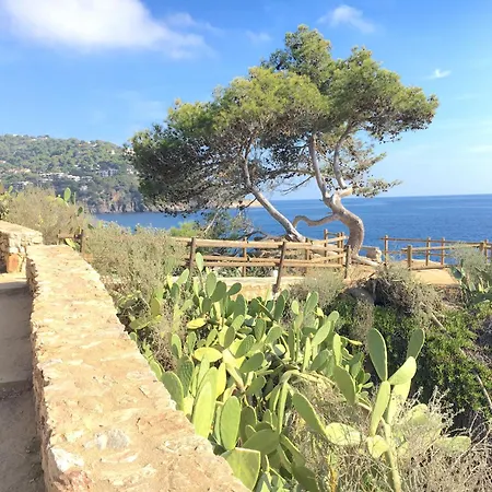 Apartamento 1kim01 -