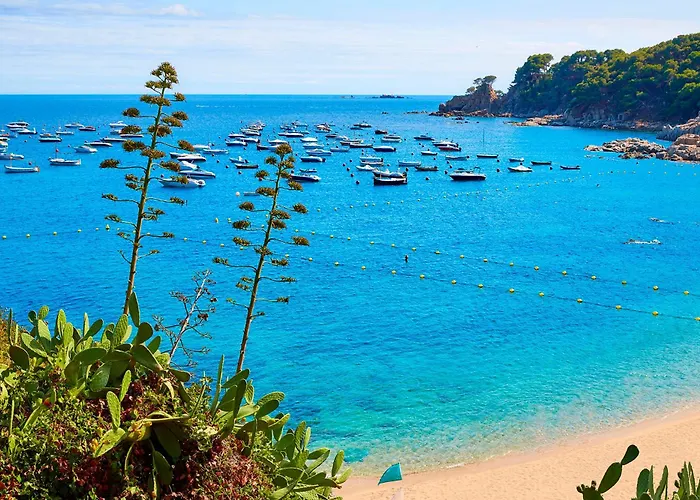 1kim01 - يافرانتْسْ